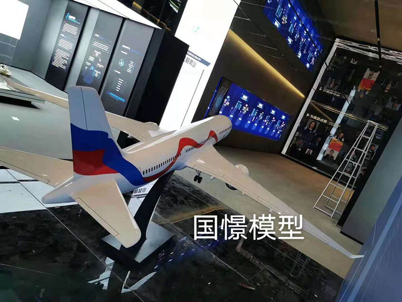 沛县飞机模型